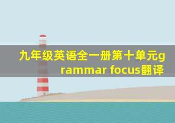 九年级英语全一册第十单元grammar focus翻译